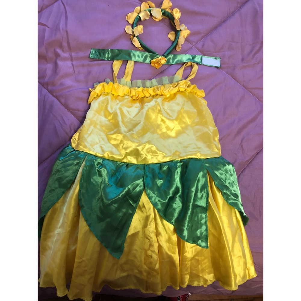 TINKER BELL COSTUME W/WINGS